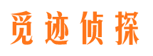 泽库侦探公司